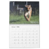Sanctiecalender 2019 voor dieren in Cedarhill Kalender (Jan 2026)