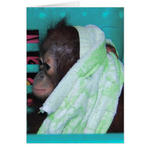 Sanctiestelsel voor bedreigde diersoorten