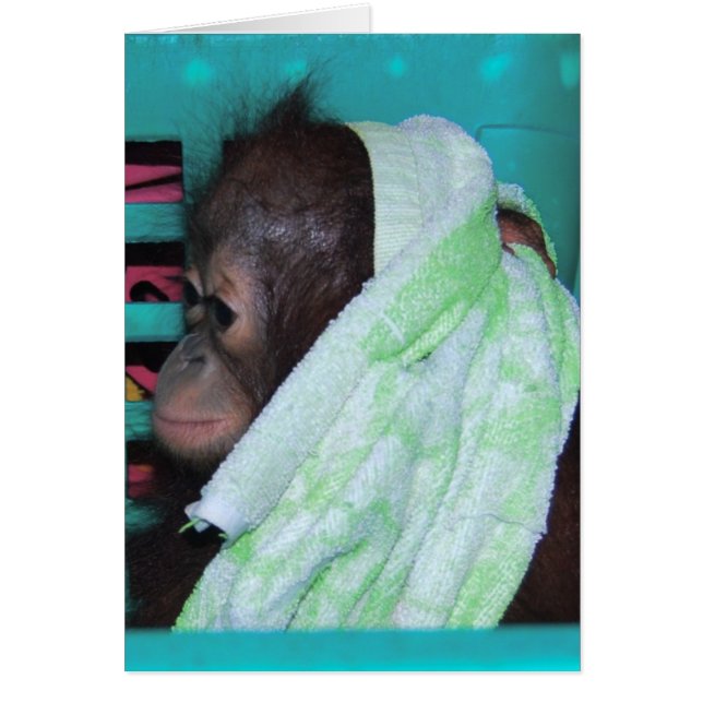 Sanctiestelsel voor bedreigde diersoorten (Voorkant)