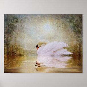 Sanctuarium binnen poster