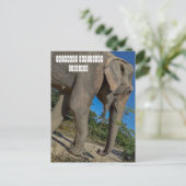 Sanctuary Elephant Oerwoud Briefkaart (Staand voorkant)