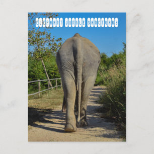 Sanctuary Elephant Oerwoud Briefkaart