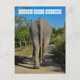 Sanctuary Elephant Oerwoud Briefkaart
