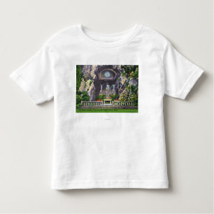 Sanctuary of Our Sorrowful Moeder Grotto Uitzicht Kinder Shirts
