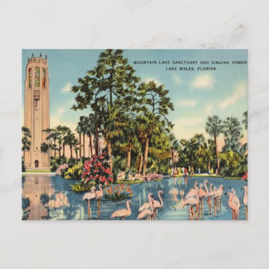Sanctuary Singing Tower, Lake Wales, Florida Briefkaart (Voorkant)