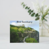 Sanctuary voor vogels briefkaart (Staand voorkant)