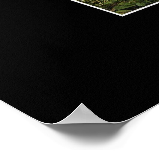 SANCTUIG Art Poster (Hoek)