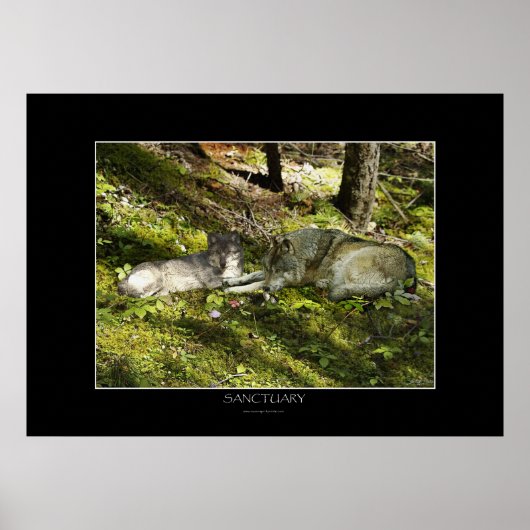 SANCTUIG Art Poster (Voorkant)