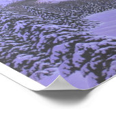 SANCTUIG POSTER (Hoek)