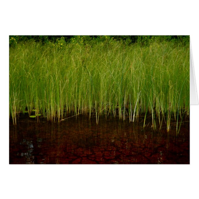 Sancturary (Voorkant Horizontaal)