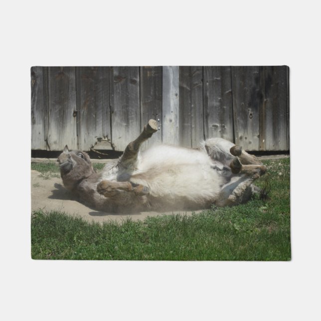 Sand Bathing Donkey Deurmat (Voorkant)