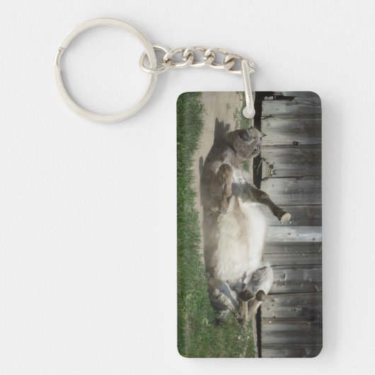 Sand Bathing Donkey Sleutelhanger (Voorkant)