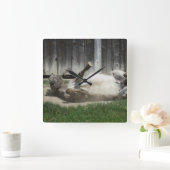 Sand Bathing Donkey Vierkante Klok (Huis)