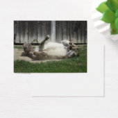 Sand Bathing Donkey Visitekaartjes (Bureau)