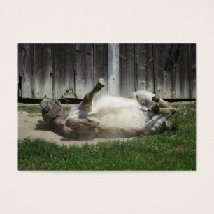Sand Bathing Donkey Visitekaartjes