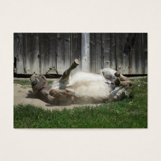 Sand Bathing Donkey Visitekaartjes (Voorkant)