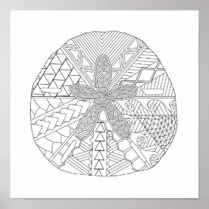 Sand Dollar Adult Coloring Poster