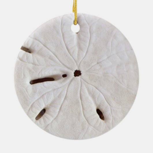 Sand Dollar Beach Coastal White Round Trendy Cool Keramisch Ornament (Achterkant)