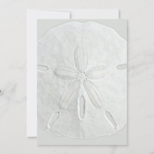 Sand Dollar Beach verjaardagsfeestje uitnodiging (Achterkant)