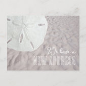 Sand Dollar Briefkaart voor bekendmaking van nieuw (Voorkant)