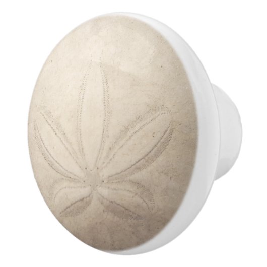 Sand Dollar Ceramic Pull Keramische Knop (Rechts)