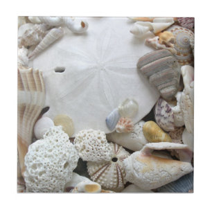 Sand Dollar en Seashells Ceramische Tegel Tegeltje