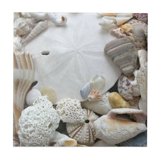 Sand Dollar en Seashells Ceramische Tegel Tegeltje (Voorkant)