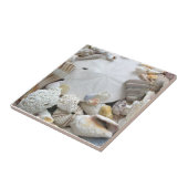 Sand Dollar en Seashells Ceramische Tegel Tegeltje (Zijkant)