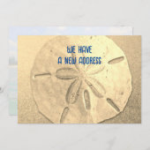 Sand Dollar — Kaart voor aankondiging nieuw adres (Voorkant / Achterkant)