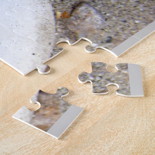 Sand Dollar Legpuzzel (Zijkant)