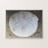 Sand Dollar Legpuzzel (Horizontaal)