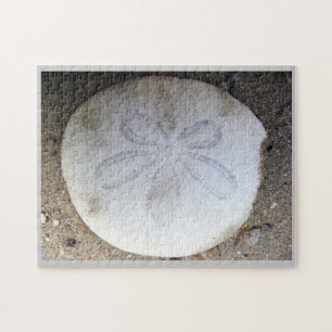 Sand Dollar Legpuzzel