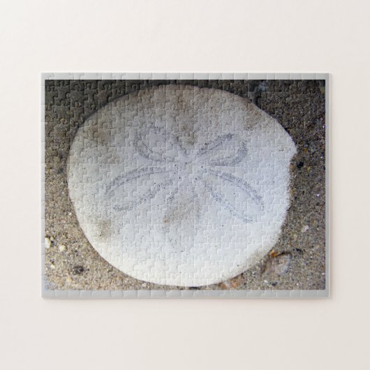 Sand Dollar Legpuzzel (Horizontaal)