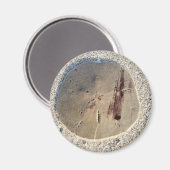 Sand Dollar Magneet (Voorkant / Achterkant)