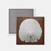 Sand Dollar Magnet (Voorkant / Achterkant)