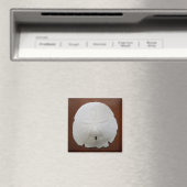Sand Dollar Magnet (Insitu (Vaatwasser))