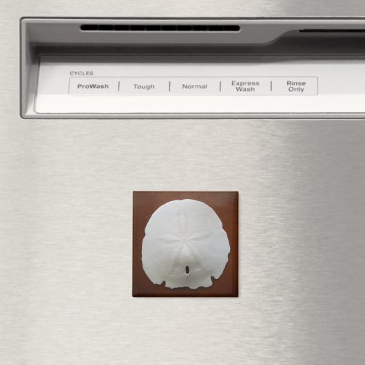 Sand Dollar Magnet (Insitu (Vaatwasser))