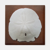 Sand Dollar Magnet (Voorkant)