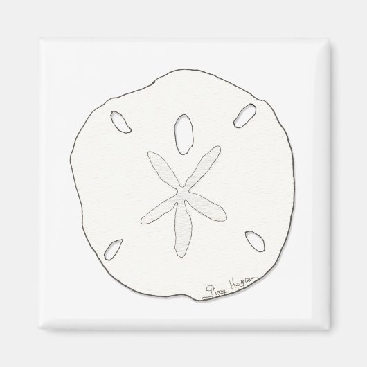 Sand Dollar Magnet (Voorkant)
