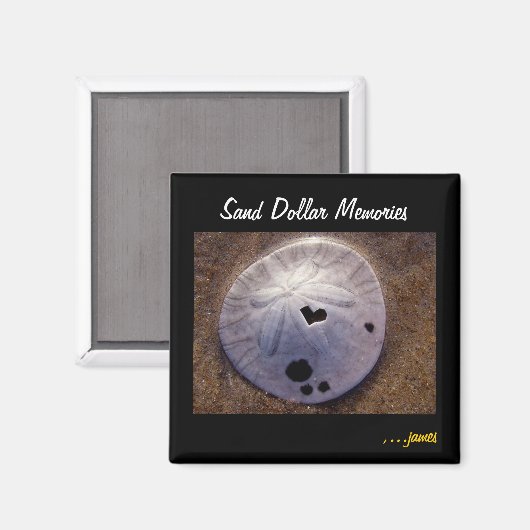 Sand Dollar Magnet (Voorkant / Achterkant)