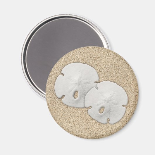 Sand Dollar Magnet (Voorkant / Achterkant)