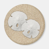Sand Dollar Magnet (Voorkant)