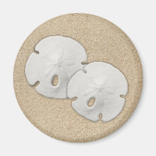 Sand Dollar Magnet