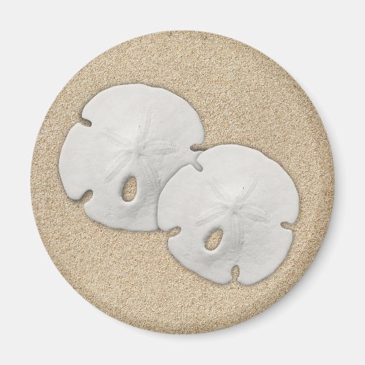 Sand Dollar Magnet (Voorkant)