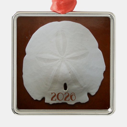 Sand Dollar Ornament (Voorkant)