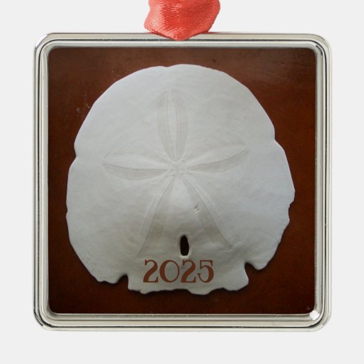 Sand Dollar Ornament (Voorkant)