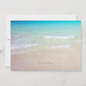 Sand Dollar Ornamenten Kerstfeest Kaart (Achterkant)