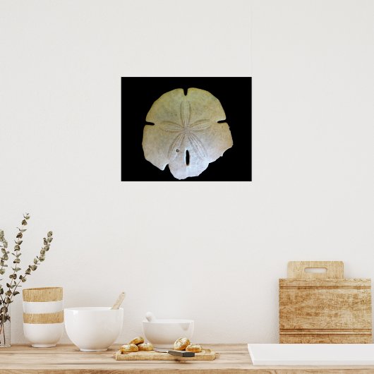 Sand Dollar Poster (Keuken)