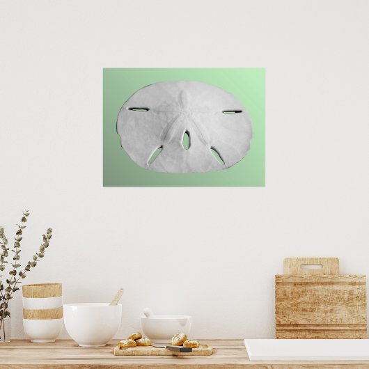 Sand Dollar Poster (Keuken)