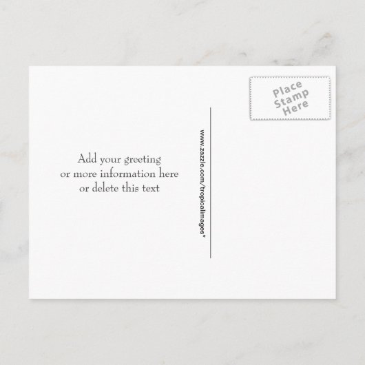 Sand Dollar Save the Date Beach Theme Wedding Aankondigingskaart (Achterkant)